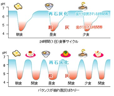 食生活や生活習慣の関係